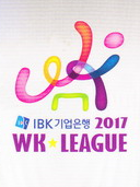 IBK기업은행 2017 WK리그