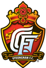 경남 FC 2011