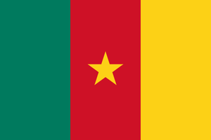 Flag of Cameroon.svg.png