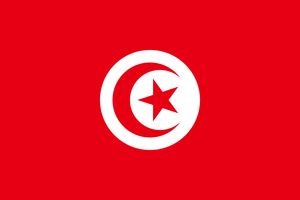 Flag of Tunisia.svg.png