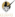 NZK.png